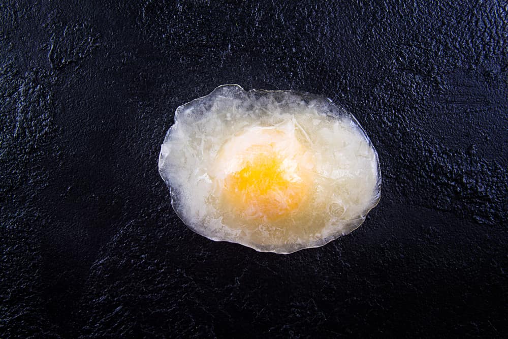 frozen egg