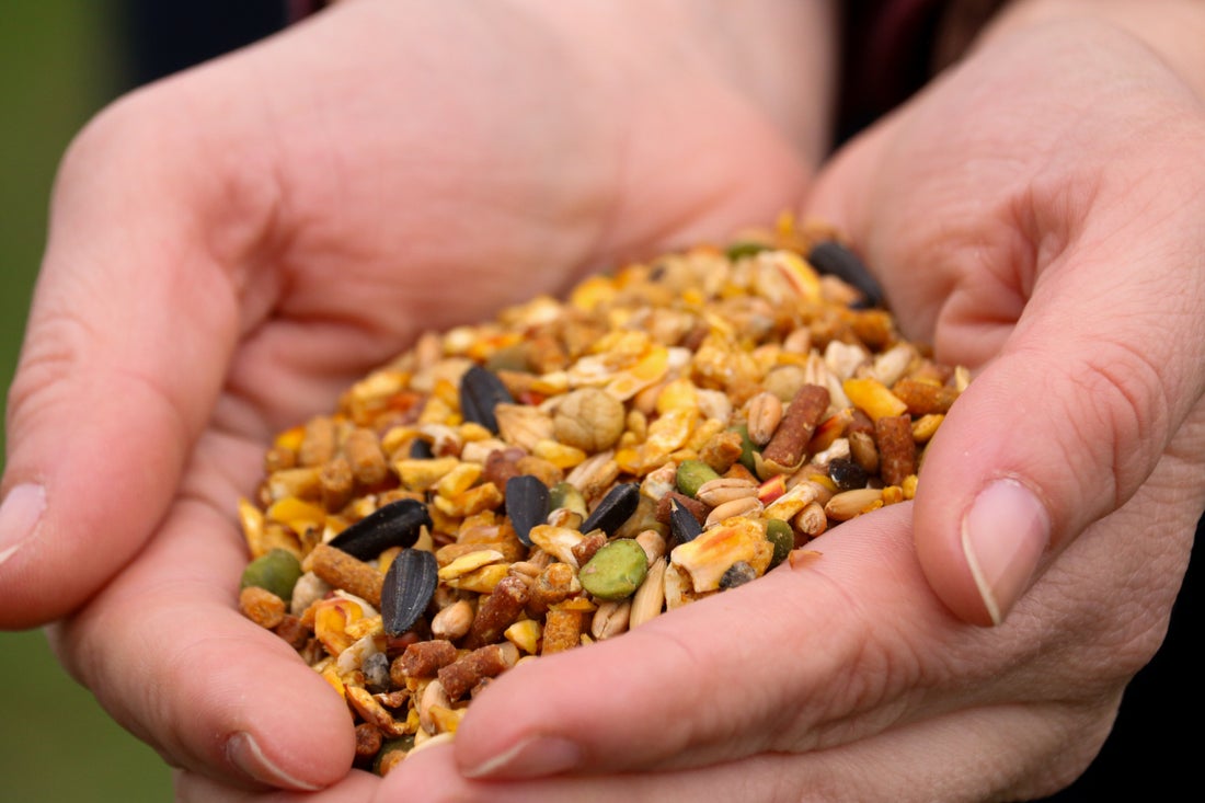 hands holding pile of feed