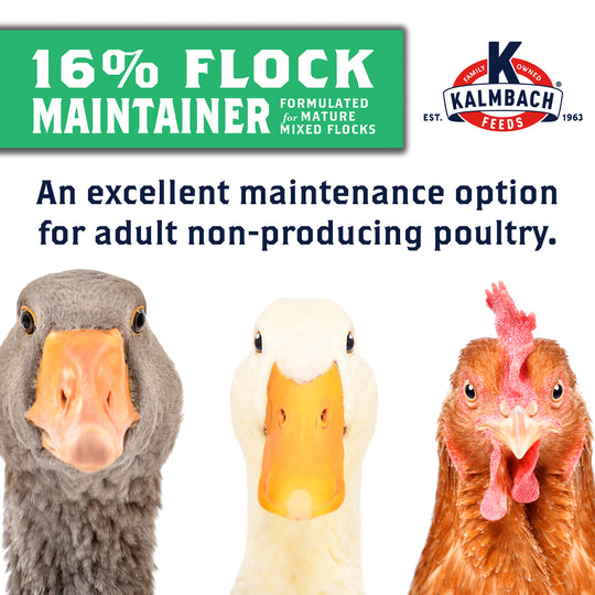 16% Flock Maintainer®