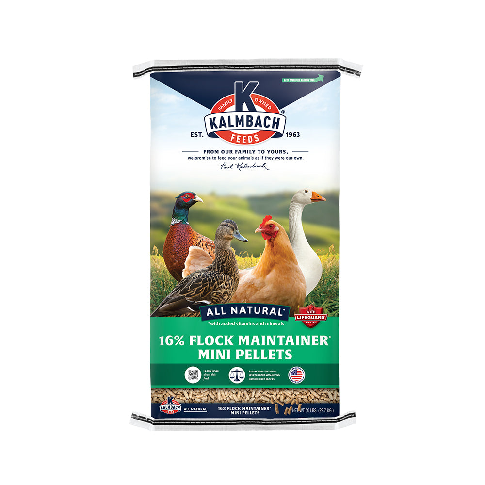 16% Kalmbach Flock Maintainer® | Kalmbach Feeds®