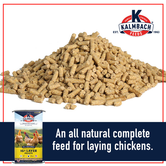 16% All Natural Layer Pellet