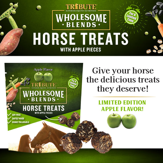 Apple Wholesome Blends® Horse Treats